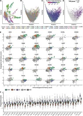 Pan-Cancer Survey of Tumor Mass Dormancy and Underlying Mutational Processes